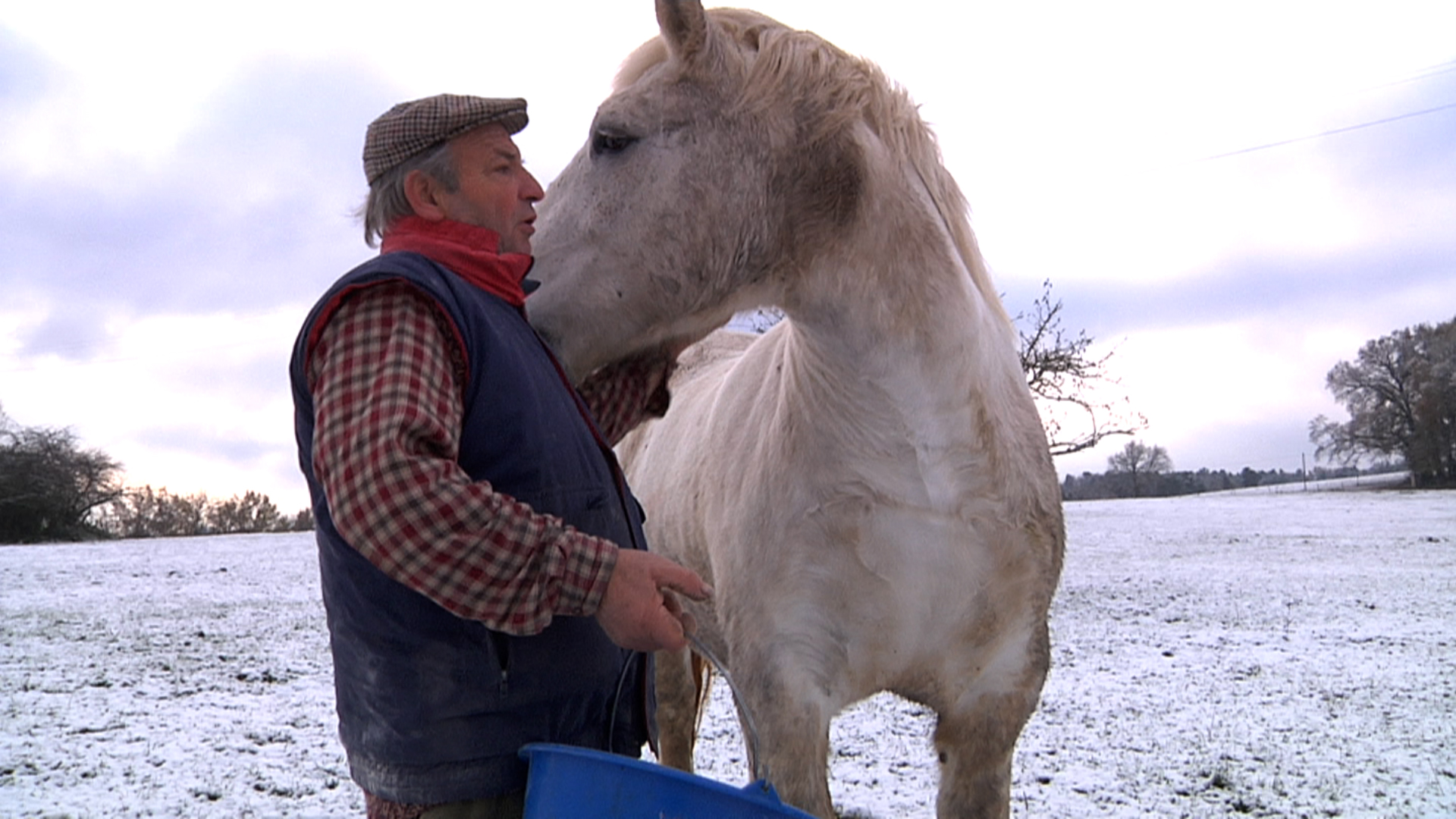 A film still of a farmer holding a bucket and looking to the right of the frame, while his horse stands next to him looking in the opposite direction