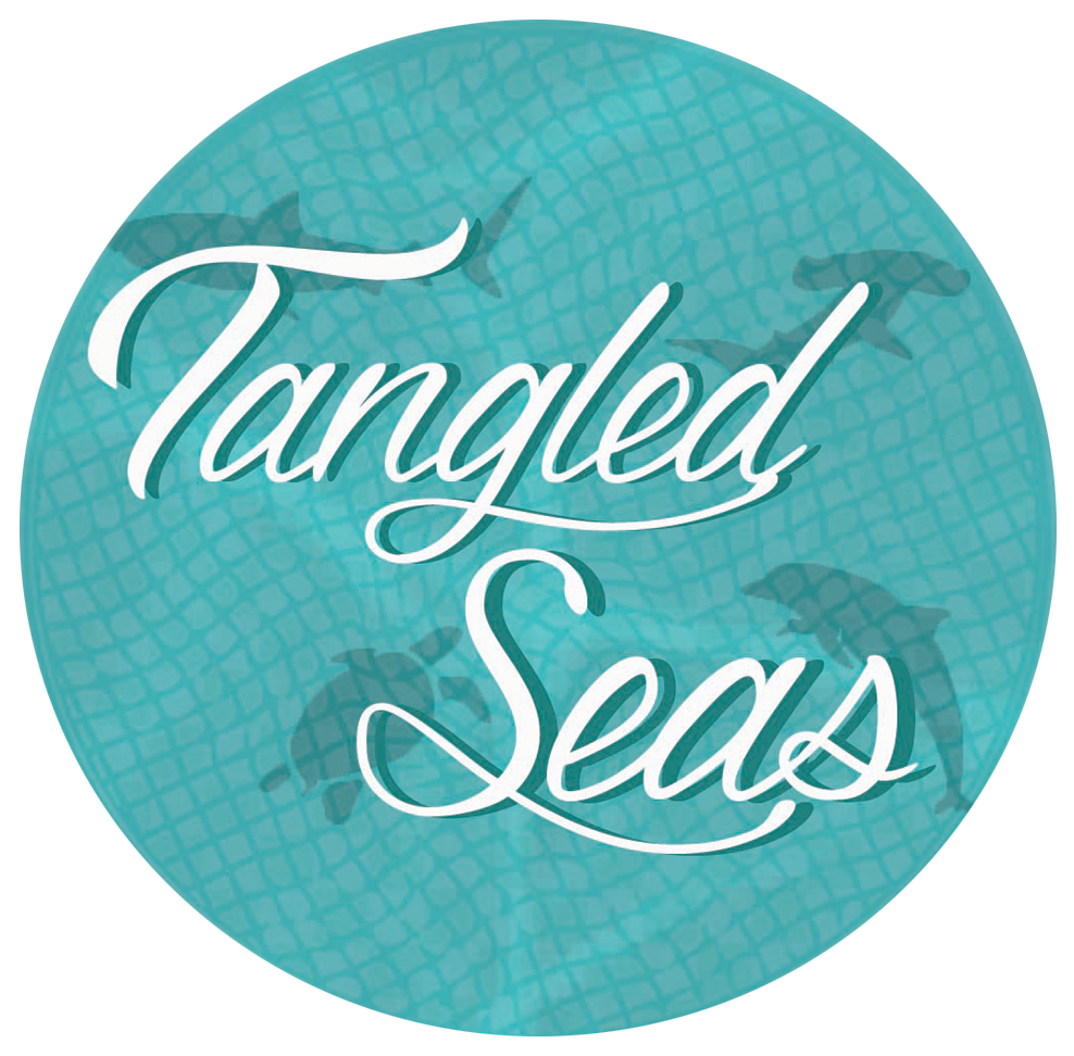 A logo of the name of the project Tangled Seas to identify the project, the image has a green background with shark, dolphin, turtle and a net